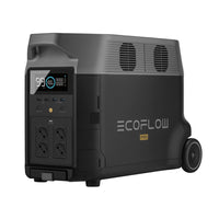 SparBundle Ecoflow Delta Pro Powerstation mit 3 x 430W Gerahmtes Solarmodul