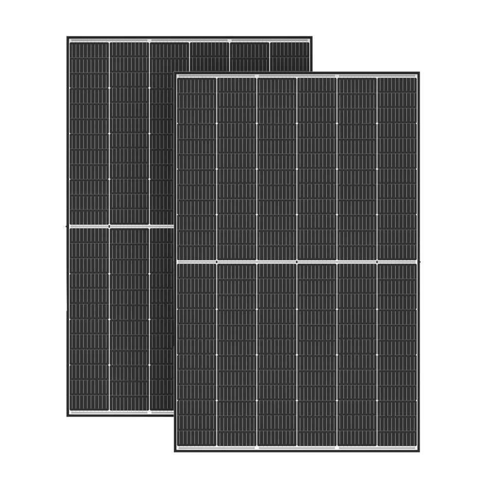 890W Balkonkraftwerk Hoymiles HMS-800W-2T 445W Trina Solar Module
