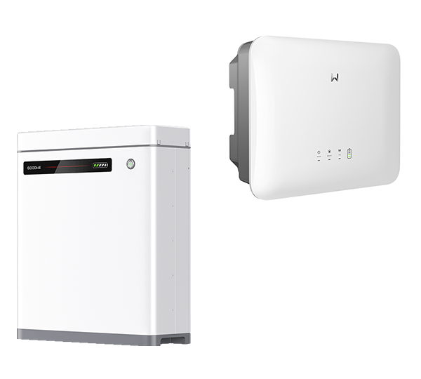 LX U5.0-30 + GW6000-ES-20 HYBRID Lynx U G3 5.0-30 GW6000-ES-20 G2