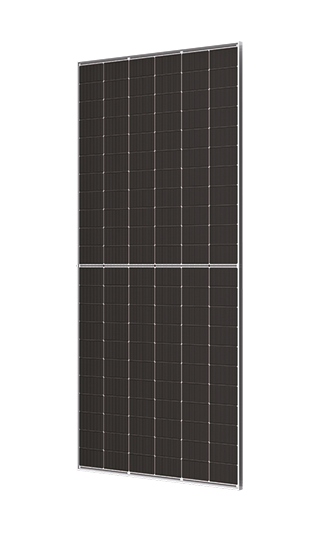 Trina Vertex N TSM-600NEG19RC.20 600 Wp (Doppelglas) VPE 36 Stück